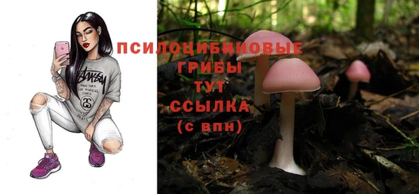 дурь Нея