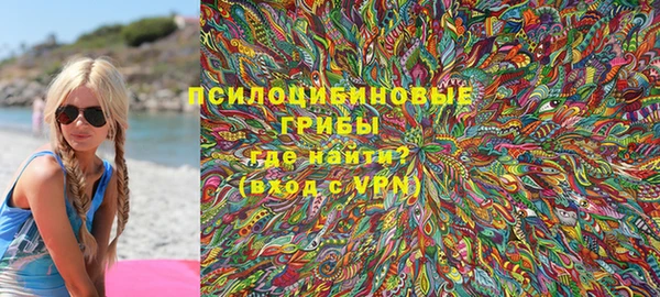 дурь Нея