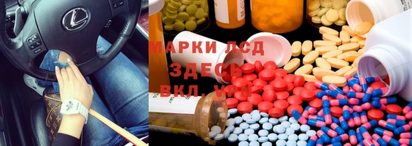 гашик Новодвинск
