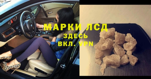 гашик Новодвинск