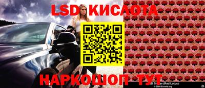гидропоника Абинск