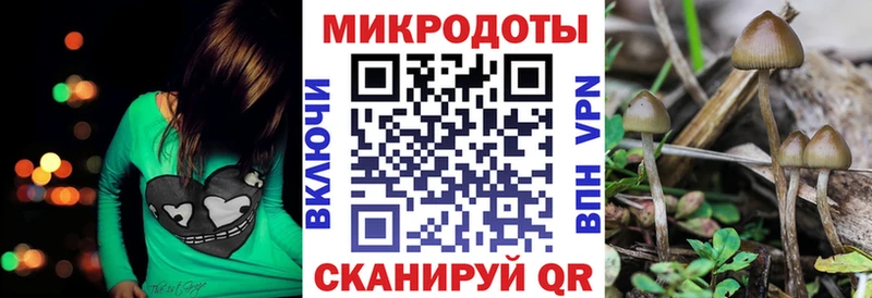 Галлюциногенные грибы мухоморы  blacksprut как зайти  Ачинск 