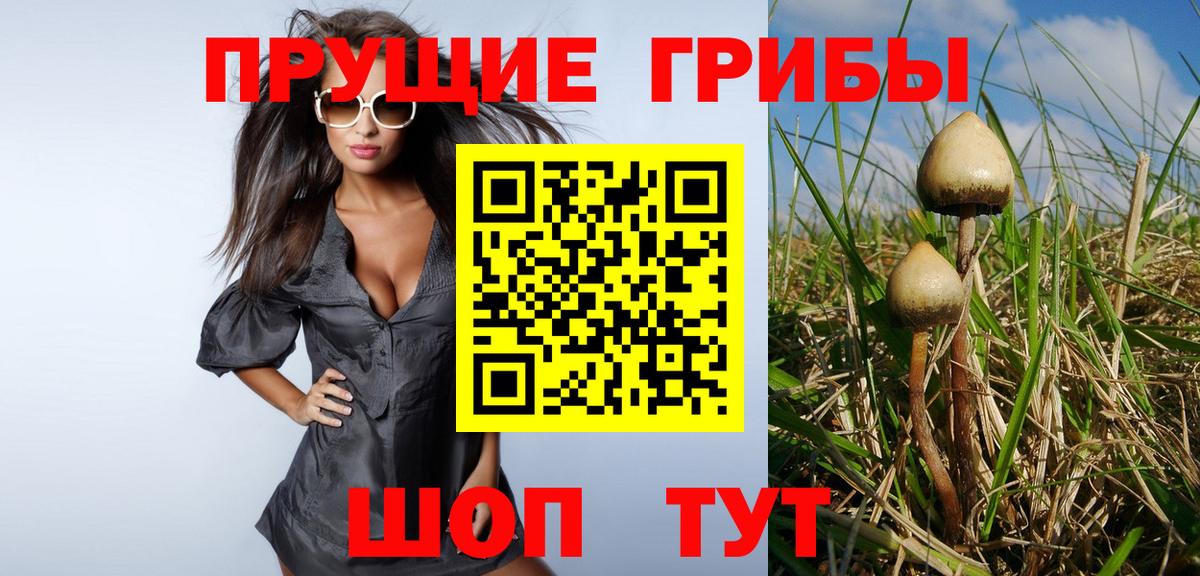 Псилоцибиновые грибы Cubensis  Ачинск  Псилоцибиновые грибы мицелий 