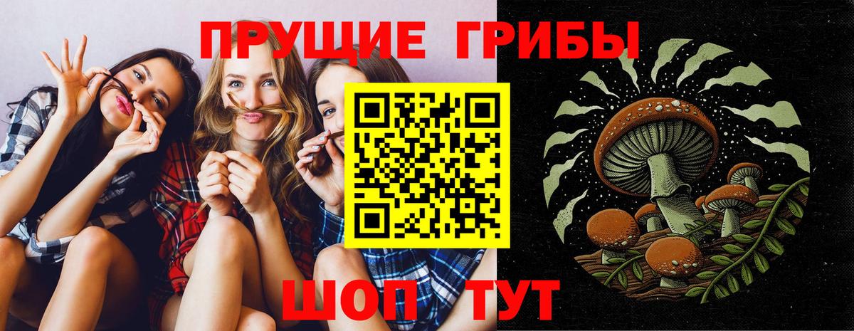 Галлюциногенные грибы Cubensis Ачинск