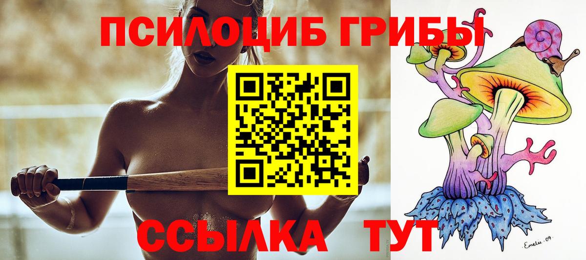 Галлюциногенные грибы Ачинск